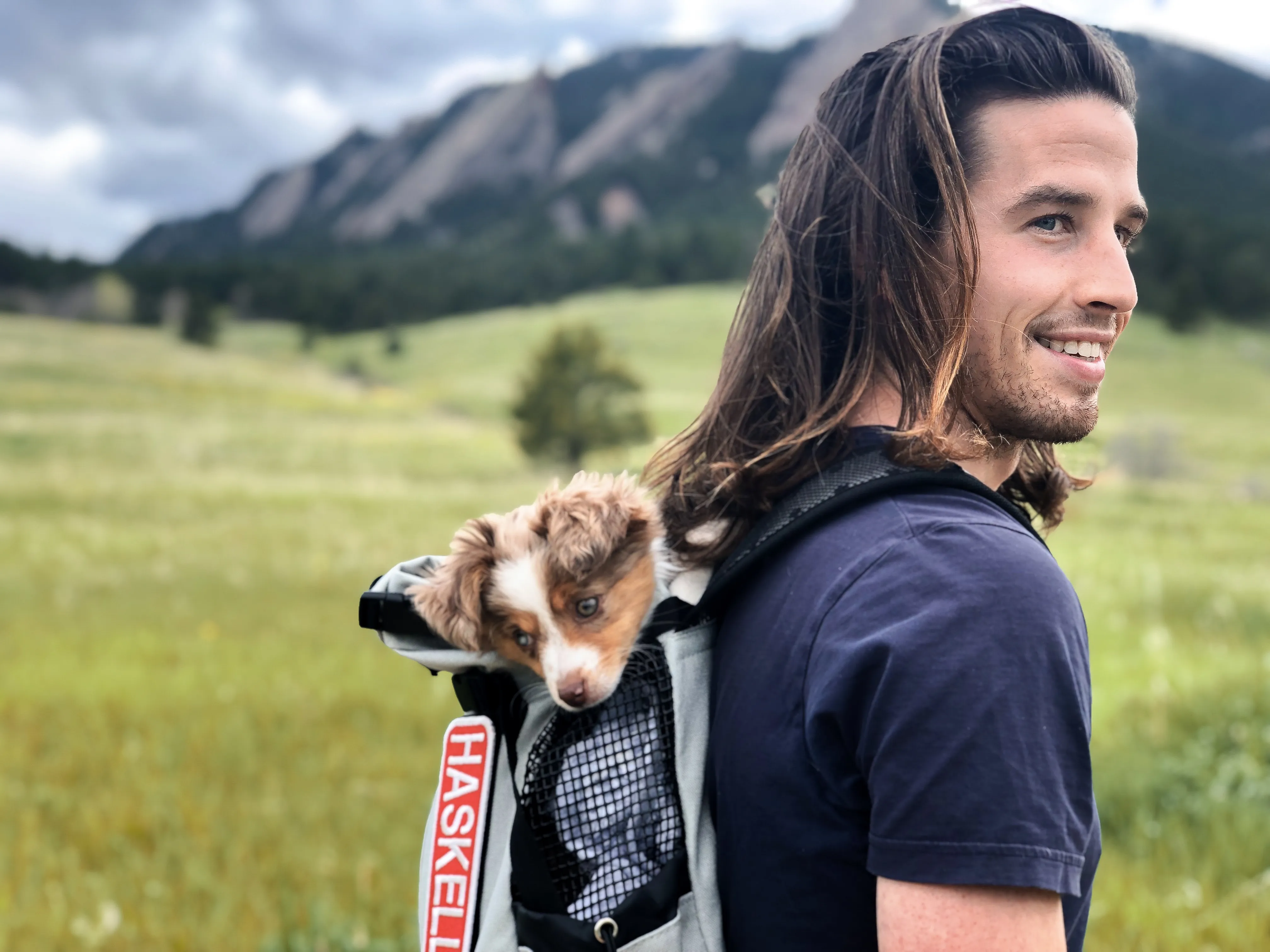 Handsome and Handsome
