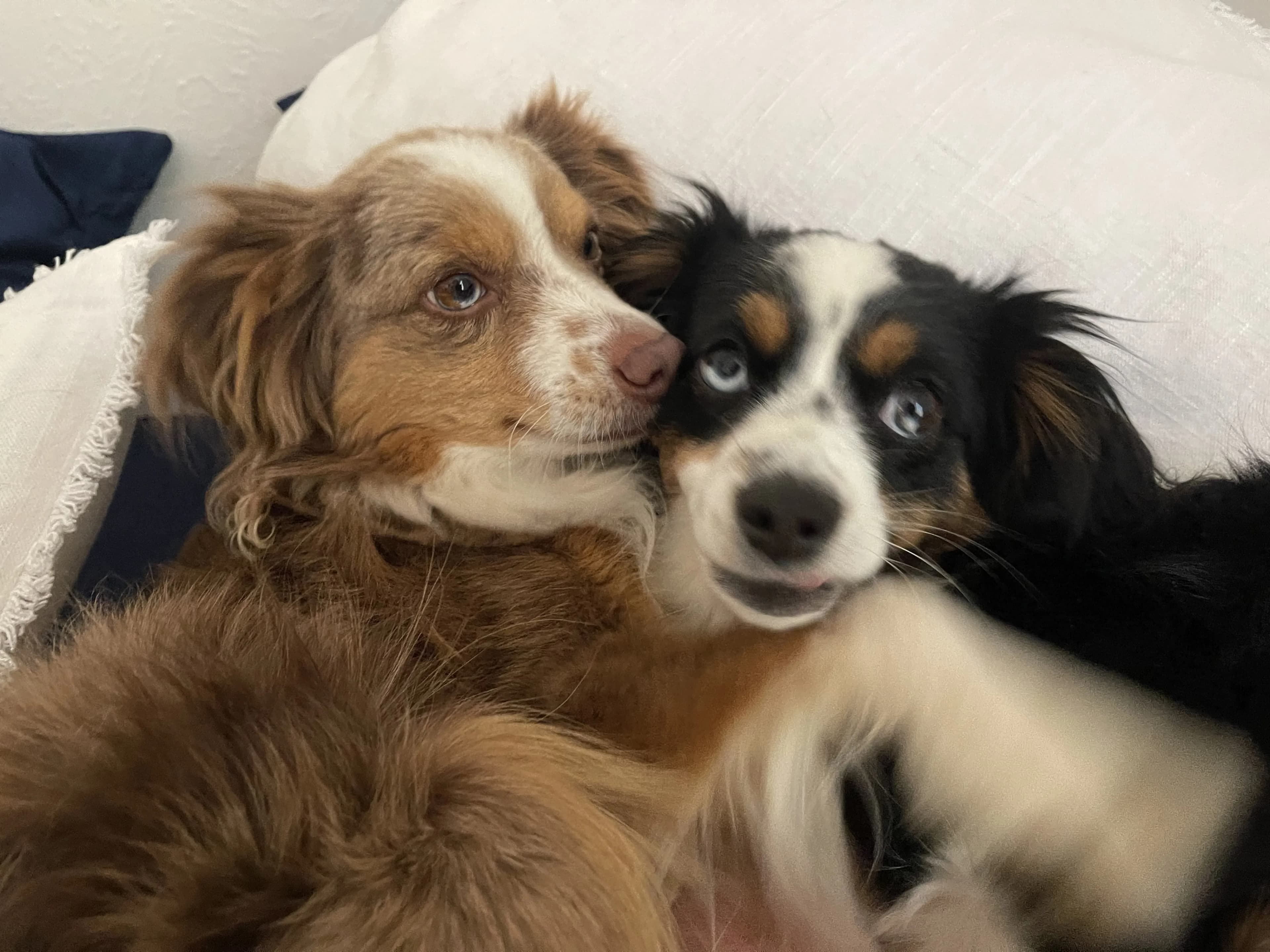 Second best couple in the house
